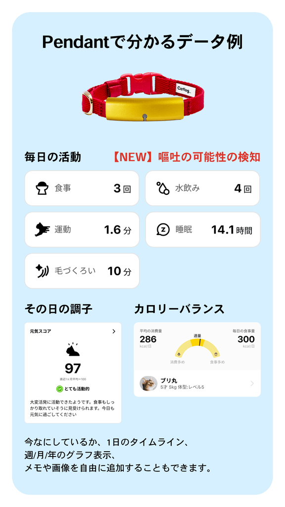 Pendantで分かるデータ例