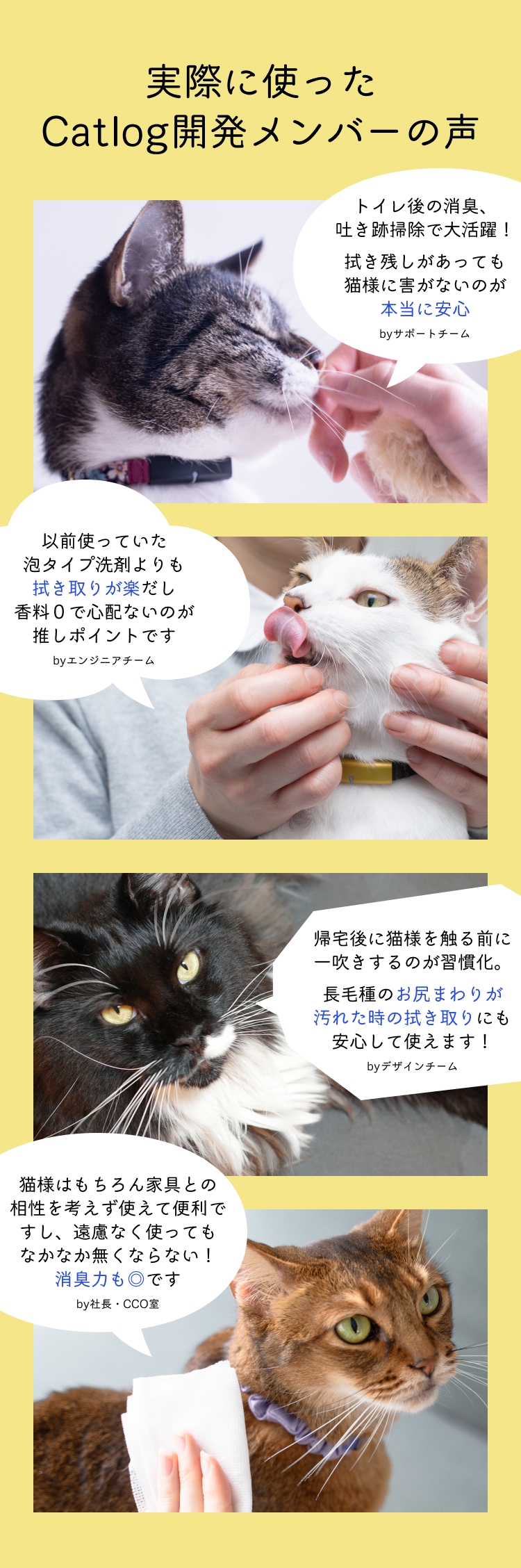 実際に使ったCatlog開発メンバーの声